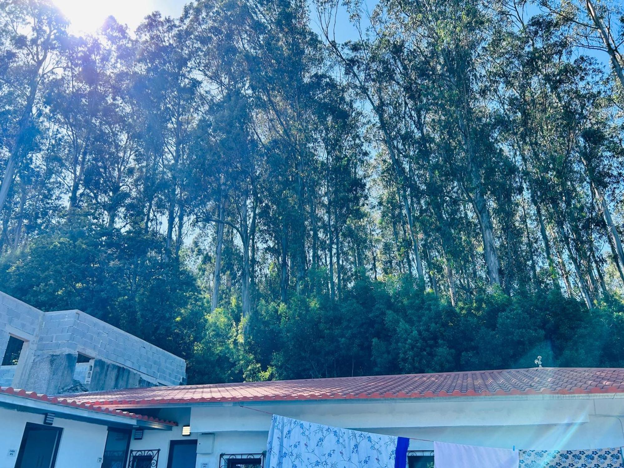 Japji Guest House Esmeriz Vitoria Exterior foto